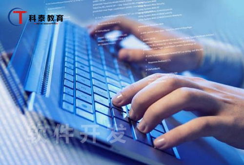 零基础学计算机编程入门难吗？——计算机软件技术开发入门全解析